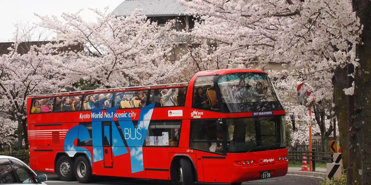 Cruise around Kyoto with a Hop-on Hop-off, open-top bus tour. Hop-on Hop-off Bus Tours Ticket Kyoto, Japan.